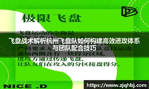 飞盘战术解析杭州飞盘队如何构建高效进攻体系与团队配合技巧