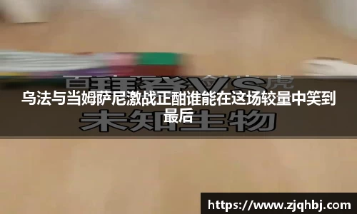 zbo1919